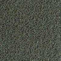 Boucle Forest 182