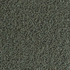 Boucle Forest 182