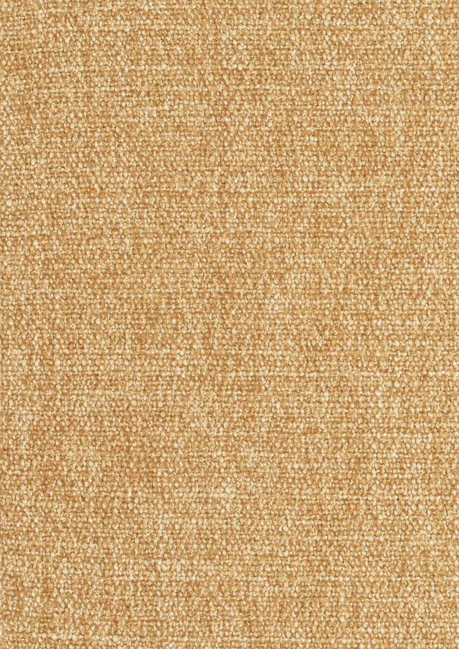 Loom 6 Mustard